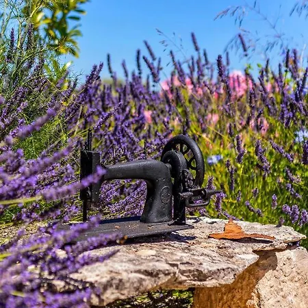 Magical Island San Pietro di Brazza