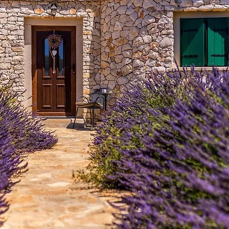 Magical Island San Pietro di Brazza